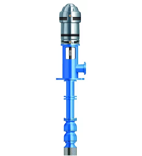 Goulds Water Technology VIT-DITM 6RALC